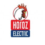 Horoz Electrıc