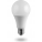 NOAS  LED Ampul 