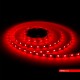 Cata Şerit LED – 5 Metre, 12V, Enerji Tasarruflu Dekoratif Aydınlatma