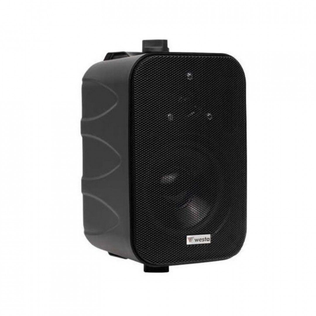 Westa WS-402TB 10W 100V Trafolu Duvar Tipi Hoparlör - Siyah